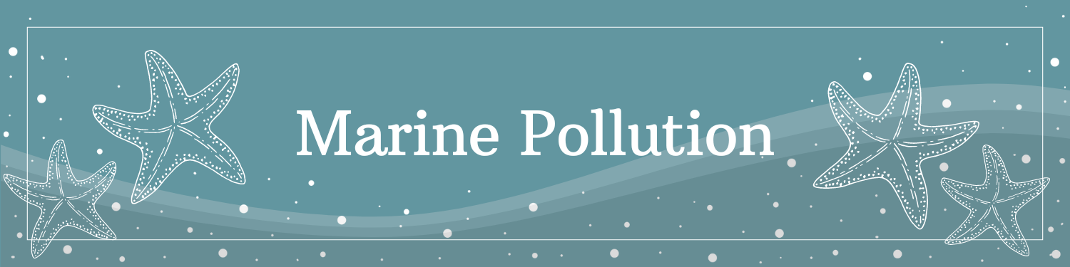 Unit 17: Marine Pollution Banner